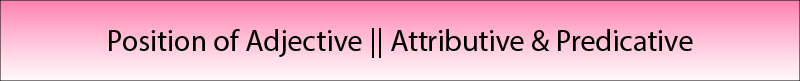 Position of adjective attributive & Pridicative