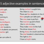 adjectives examples in sentences